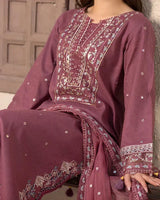 3 PC EMBROIDERED DHANAK SUIT - AB73