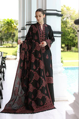 3 PC - EMBROIDERED DHANAK SUIT-AB174