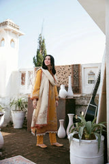 3 PC - EMBROIDERED DHANAK SUIT-AB167