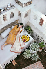 3 PC - EMBROIDERED DHANAK SUIT-AB167