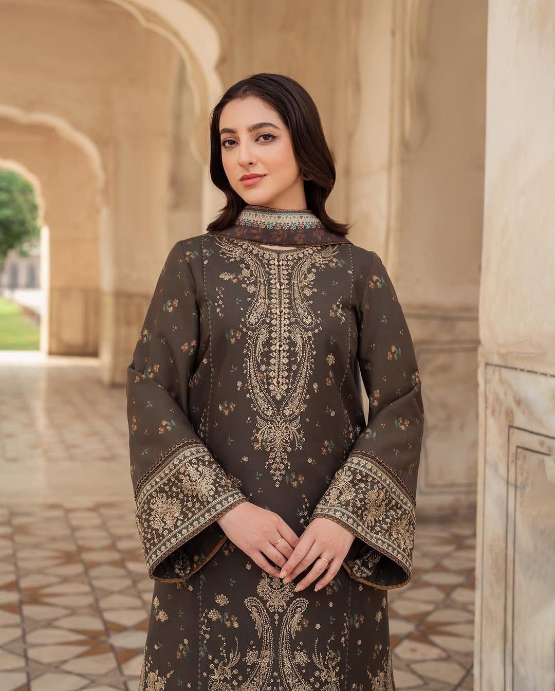 3 PC - EMBROIDERED DHANAK SUIT-AB155
