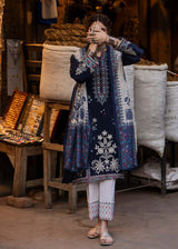 AB-180: Premium Dhanak Wool Full Panel Embroidered 3-Piece Winter Suit