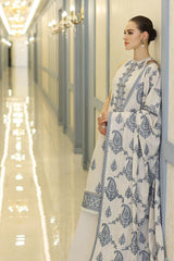 3 PC - EMBROIDERED DHANAK SUIT-AB170